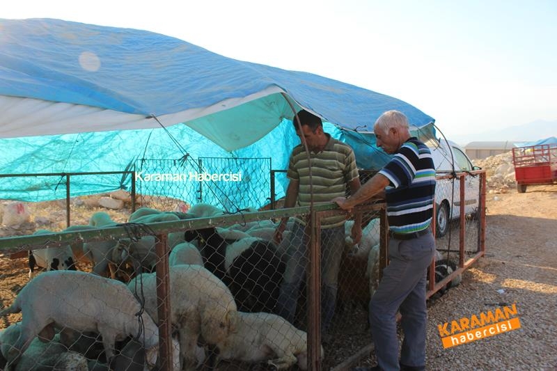 Karaman’da Kurban Pazarları Arefeye Kilitlendi 15