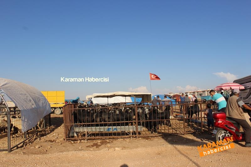 Karaman’da Kurban Pazarları Arefeye Kilitlendi 17