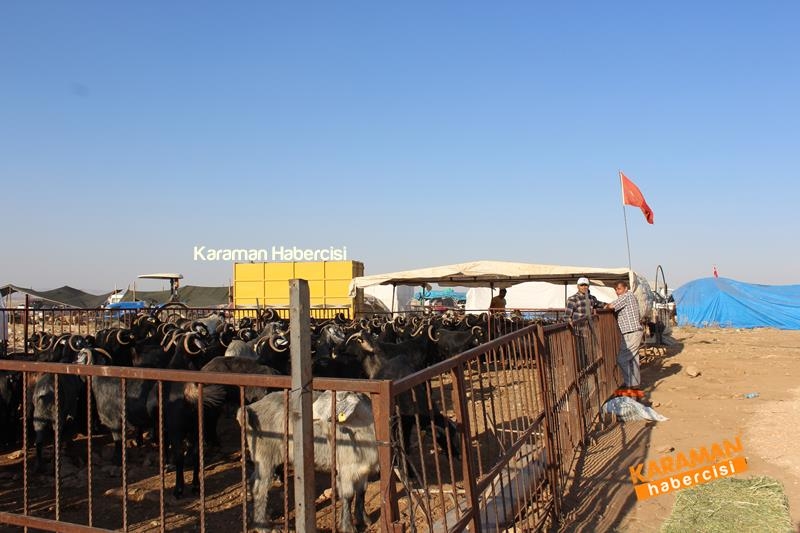 Karaman’da Kurban Pazarları Arefeye Kilitlendi 19