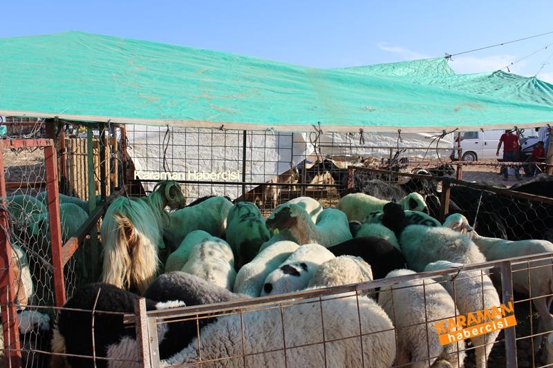 Karaman’da Kurban Pazarları Arefeye Kilitlendi 2