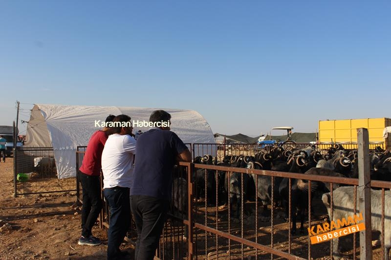 Karaman’da Kurban Pazarları Arefeye Kilitlendi 20