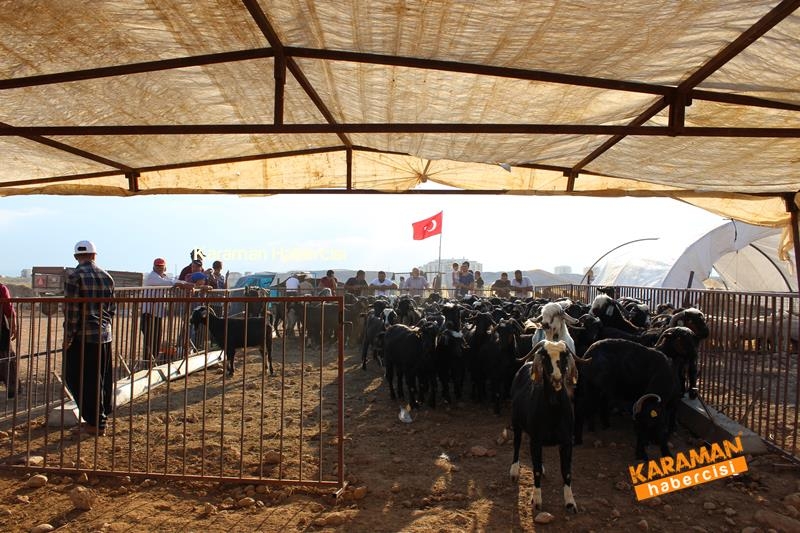 Karaman’da Kurban Pazarları Arefeye Kilitlendi 21