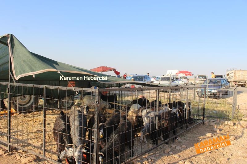 Karaman’da Kurban Pazarları Arefeye Kilitlendi 22