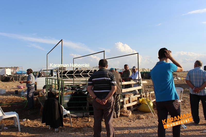 Karaman’da Kurban Pazarları Arefeye Kilitlendi 24