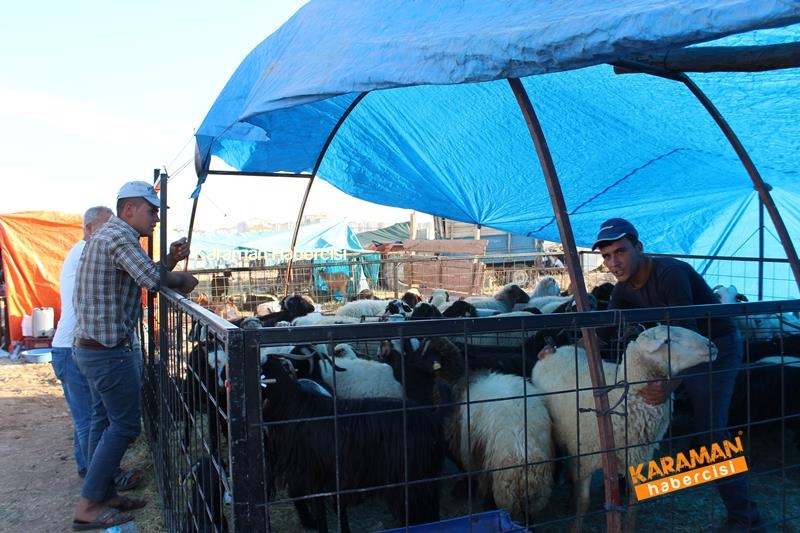 Karaman’da Kurban Pazarları Arefeye Kilitlendi 27