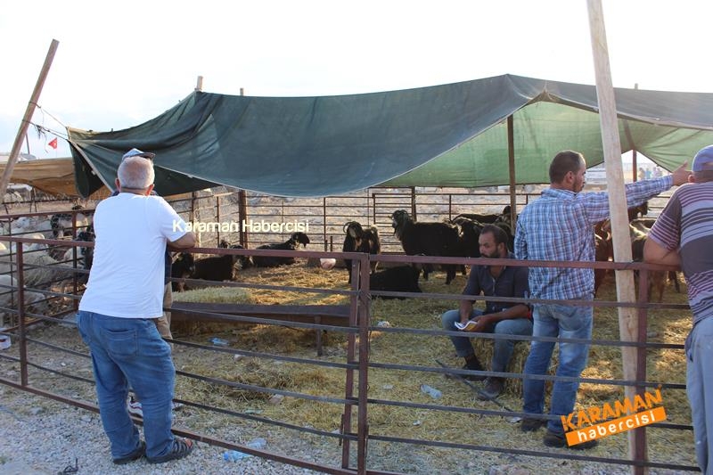 Karaman’da Kurban Pazarları Arefeye Kilitlendi 29