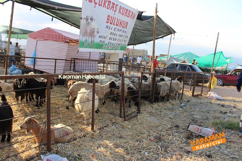 Karaman’da Kurban Pazarları Arefeye Kilitlendi 31