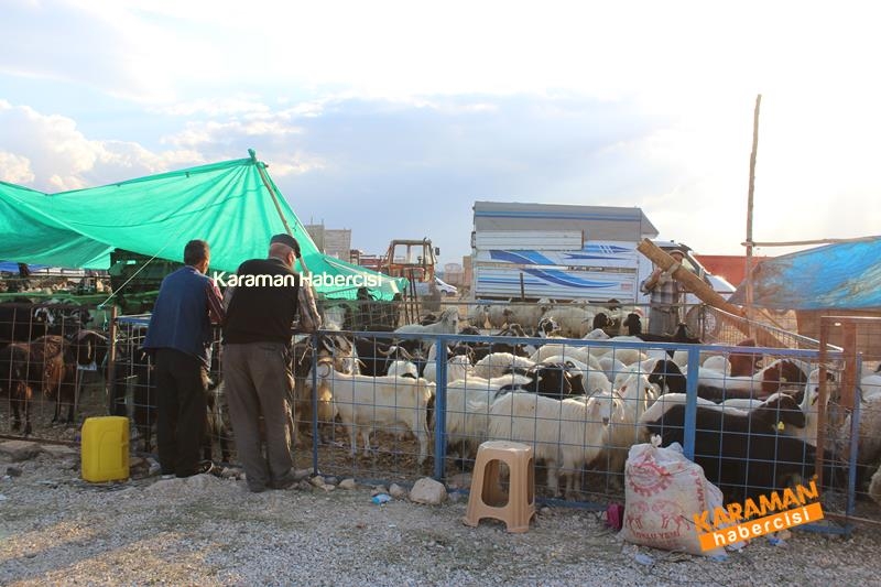 Karaman’da Kurban Pazarları Arefeye Kilitlendi 33