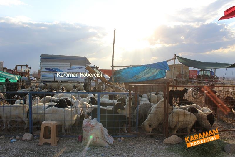 Karaman’da Kurban Pazarları Arefeye Kilitlendi 34
