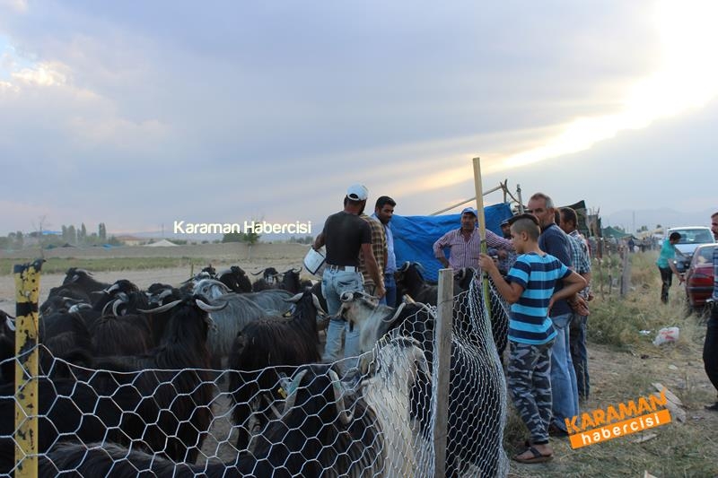 Karaman’da Kurban Pazarları Arefeye Kilitlendi 36