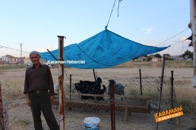 Karaman’da Kurban Pazarları Arefeye Kilitlendi 37