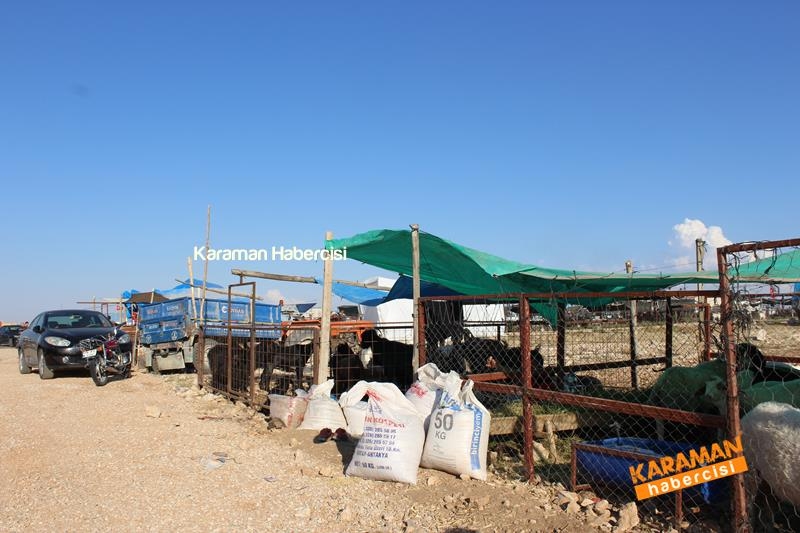 Karaman’da Kurban Pazarları Arefeye Kilitlendi 4