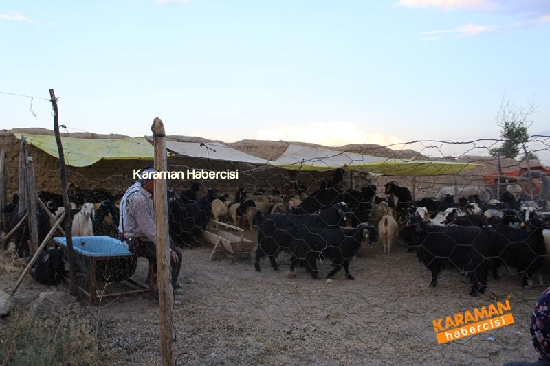 Karaman’da Kurban Pazarları Arefeye Kilitlendi 40