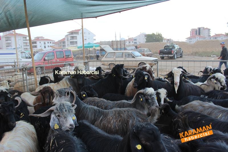 Karaman’da Kurban Pazarları Arefeye Kilitlendi 41