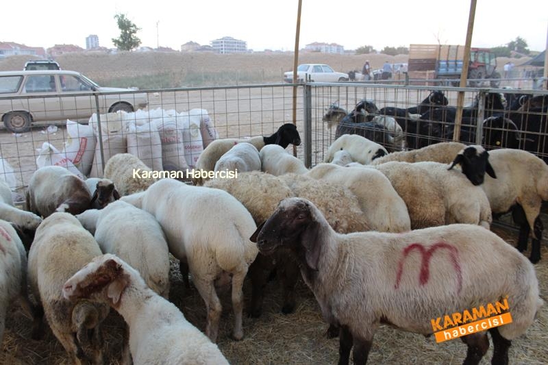 Karaman’da Kurban Pazarları Arefeye Kilitlendi 42