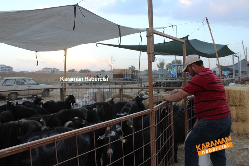 Karaman’da Kurban Pazarları Arefeye Kilitlendi 43