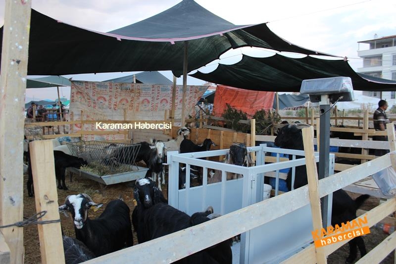 Karaman’da Kurban Pazarları Arefeye Kilitlendi 44