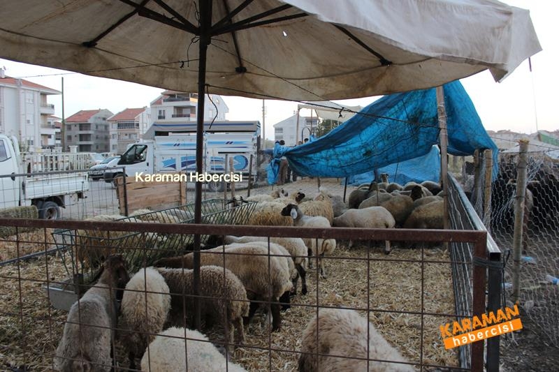 Karaman’da Kurban Pazarları Arefeye Kilitlendi 49