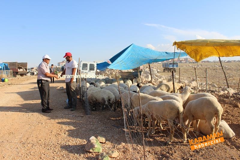Karaman’da Kurban Pazarları Arefeye Kilitlendi 7