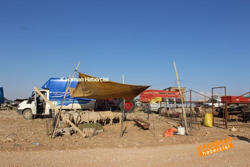 Karaman’da Kurban Pazarları Arefeye Kilitlendi 8