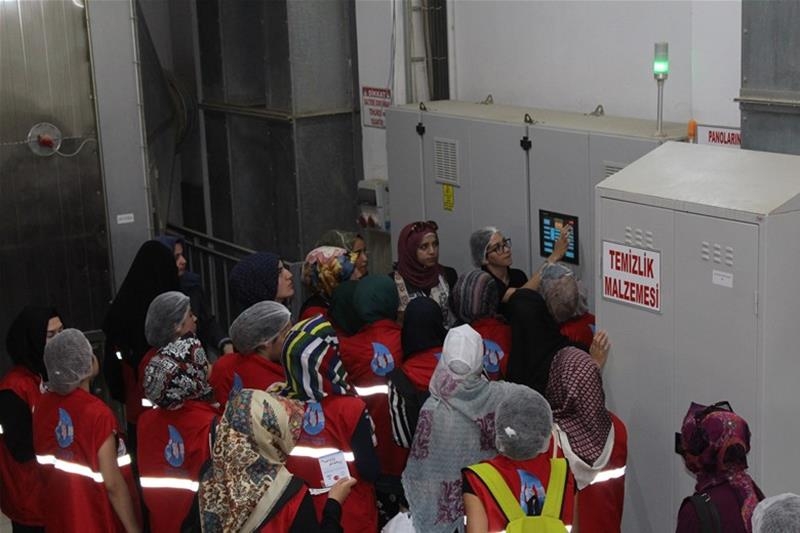 Damla Projesi Gençleri Duru Bulgur'u Ziyaret Etti 15