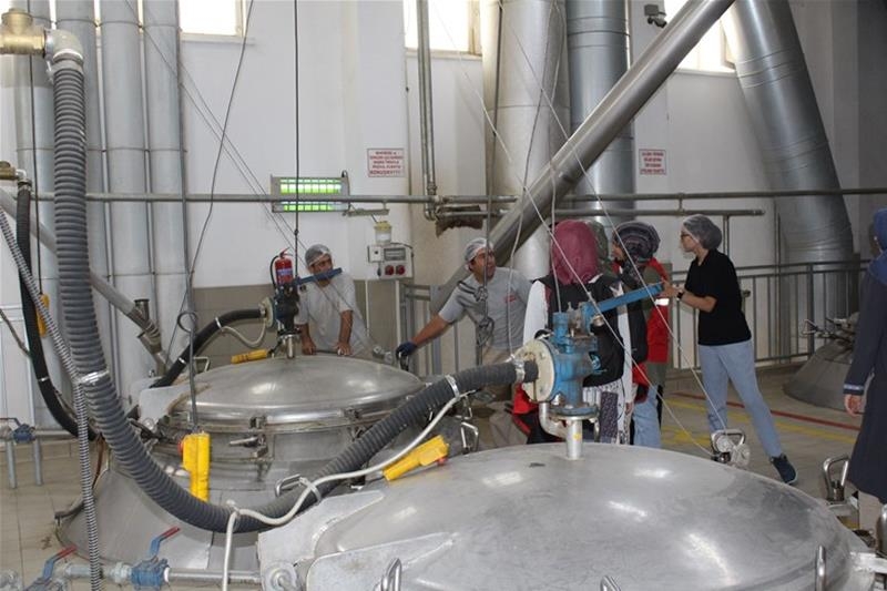 Damla Projesi Gençleri Duru Bulgur'u Ziyaret Etti 16