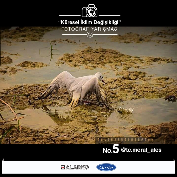 Alarko Carrier küresel iklim değişikliğinin olumsuz etkileri 8