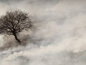 Alarko Carrier küresel iklim değişikliğinin olumsuz etkileri