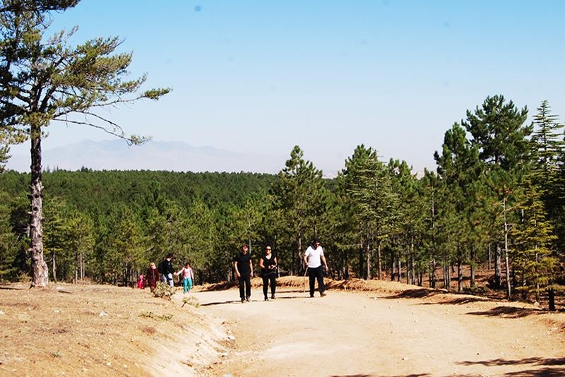 Karaman KMÜ Personeli Sağlıklı Yaşam İçin Yürüdüler 5