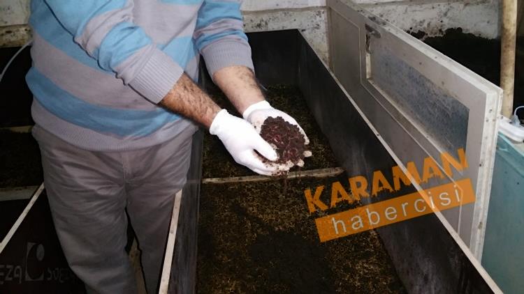 Karaman  Solucan Gübresi Üretimi 1