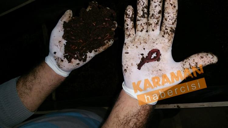 Karaman  Solucan Gübresi Üretimi 3