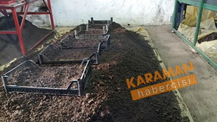 Karaman  Solucan Gübresi Üretimi 4