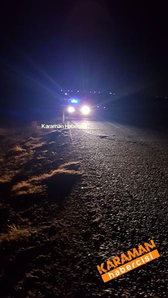 Trafik kazasında hayvanlar telef oldu 10