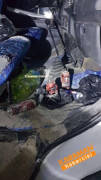 Trafik kazasında hayvanlar telef oldu 11