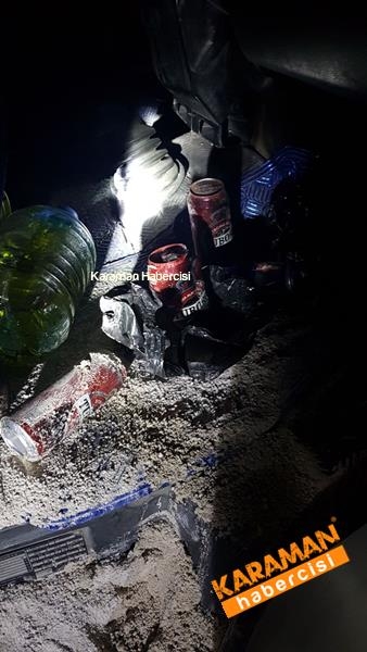 Trafik kazasında hayvanlar telef oldu 4