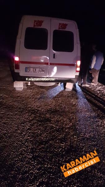 Trafik kazasında hayvanlar telef oldu 5