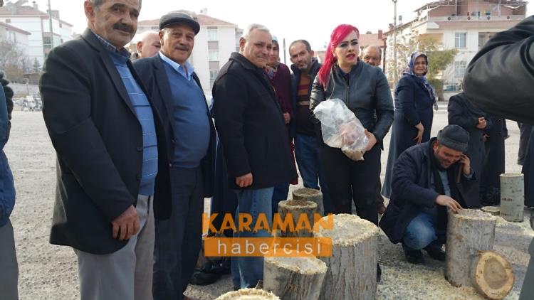 Karaman’da Kavak Mantarı Eğitimi Yapıldı 4