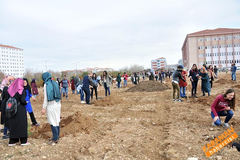 Yeni Fidanlar Toprakla Buluşuyor 10