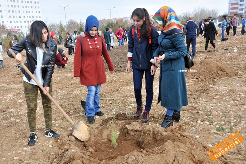 Yeni Fidanlar Toprakla Buluşuyor 11