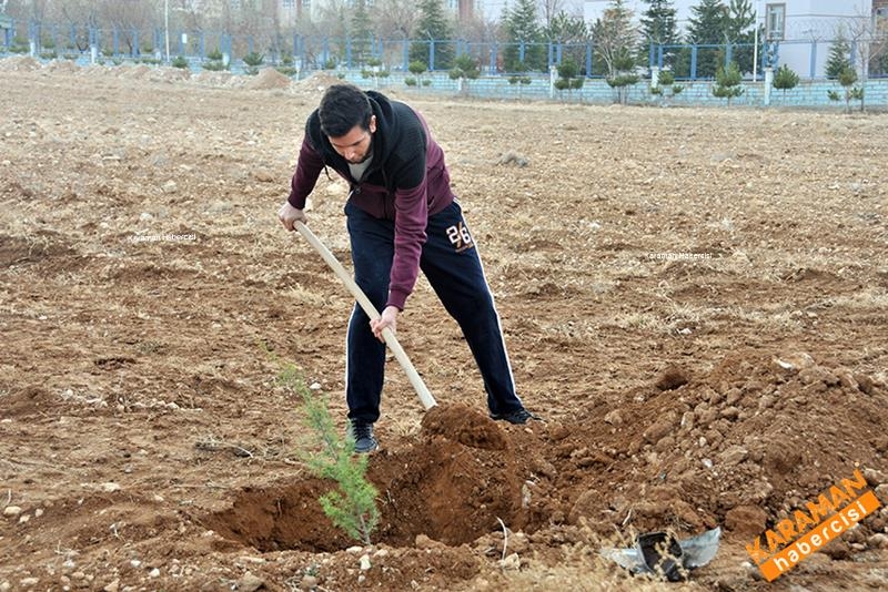 Yeni Fidanlar Toprakla Buluşuyor 15