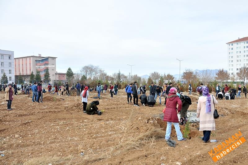Yeni Fidanlar Toprakla Buluşuyor 4