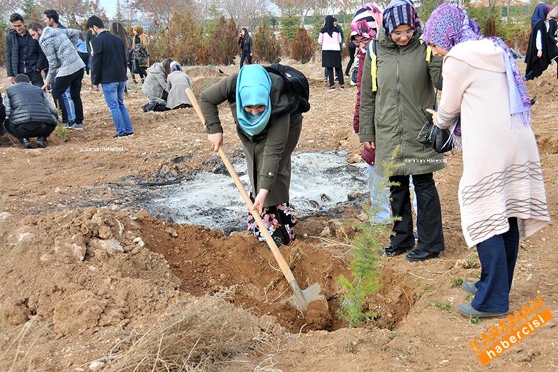 Yeni Fidanlar Toprakla Buluşuyor 5
