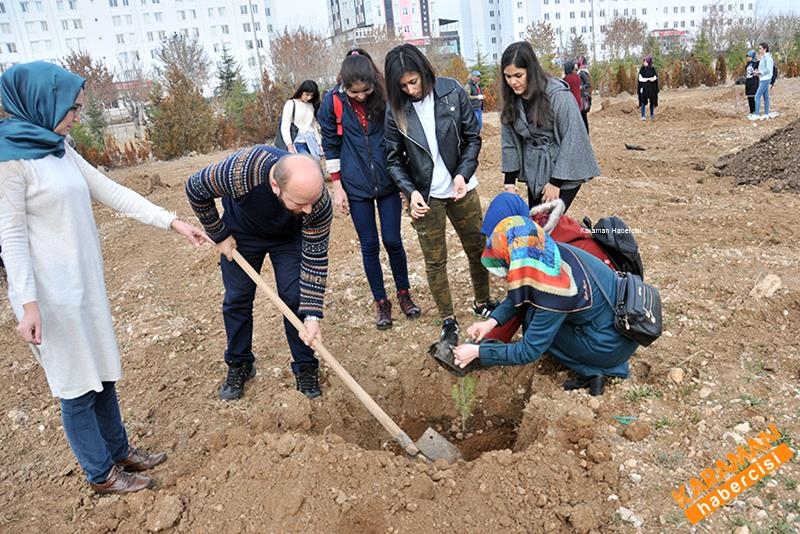 Yeni Fidanlar Toprakla Buluşuyor 6