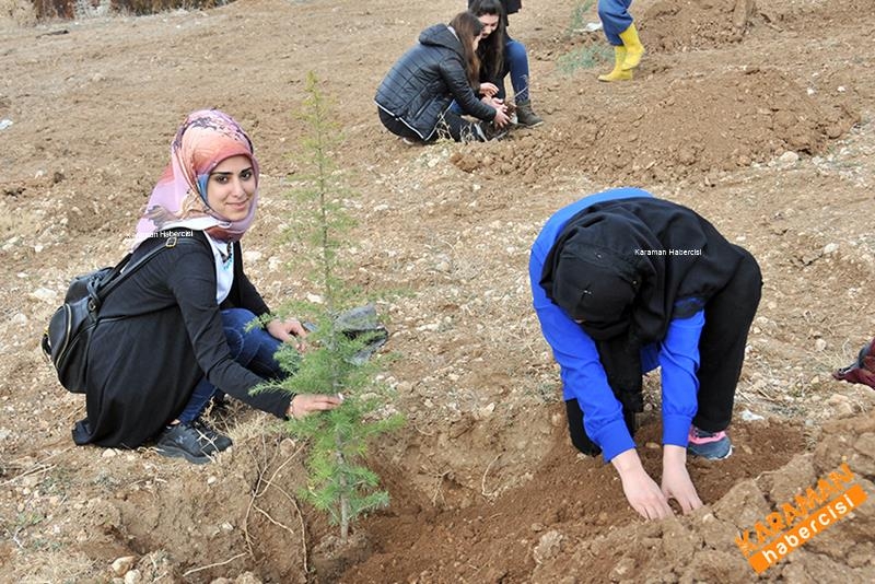 Yeni Fidanlar Toprakla Buluşuyor 7