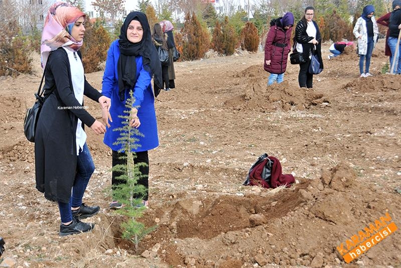 Yeni Fidanlar Toprakla Buluşuyor 9