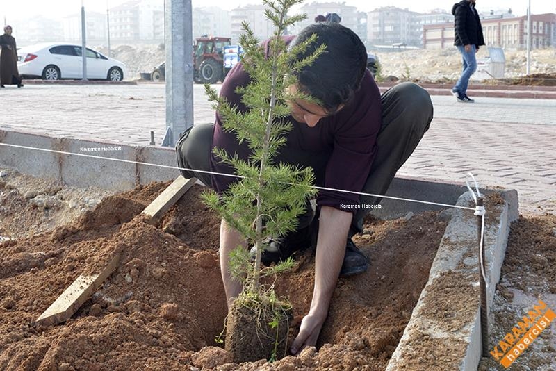 KMÜ'de Fidan Seferberliği 11