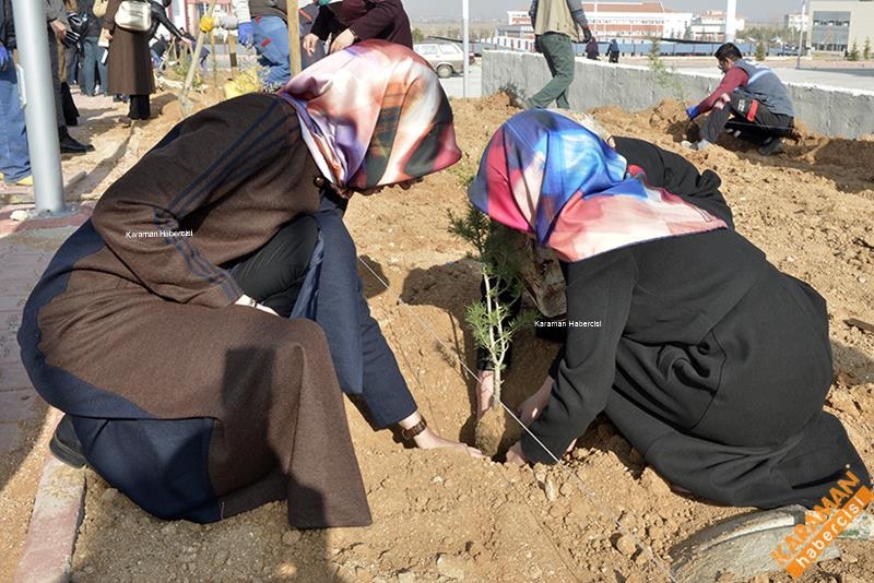 KMÜ'de Fidan Seferberliği 12