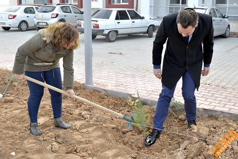 KMÜ'de Fidan Seferberliği 3