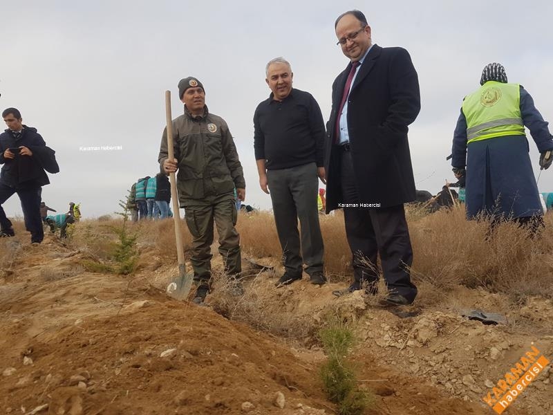 Karaman'da Hükümlüler Fidan Dikti 11