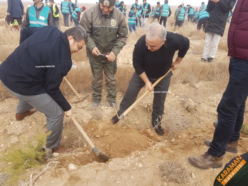 Karaman'da Hükümlüler Fidan Dikti 15